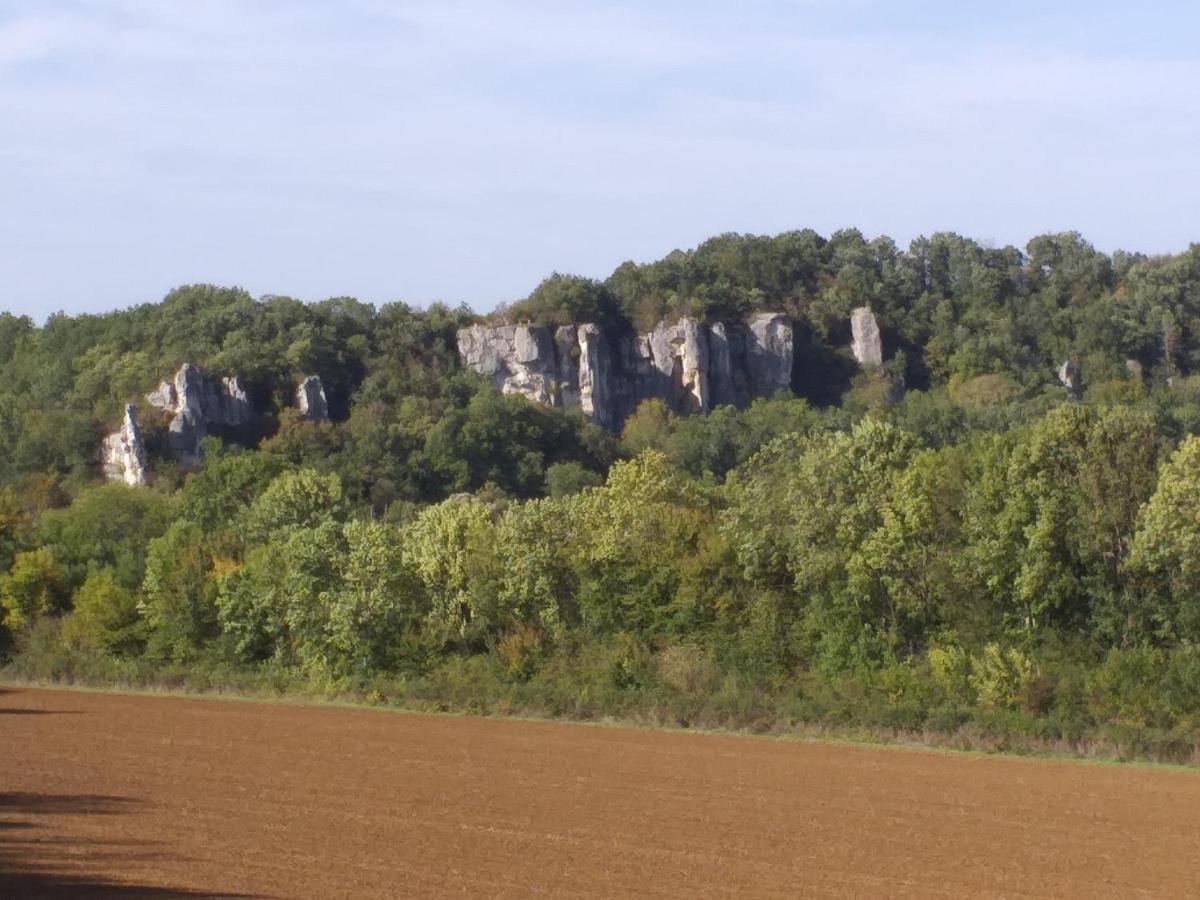 Vila Maison Pour Nombreuses Personnes Pousseaux Exteriér fotografie